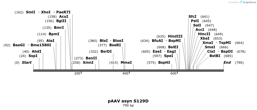 45464_map