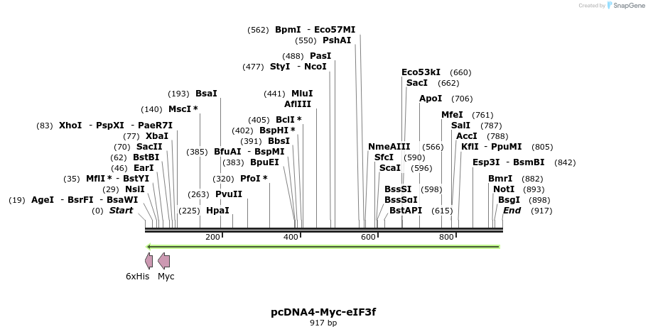 45467_map