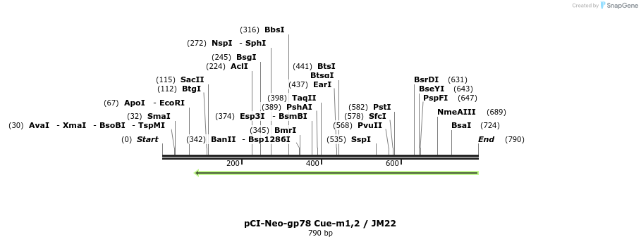 45468_map