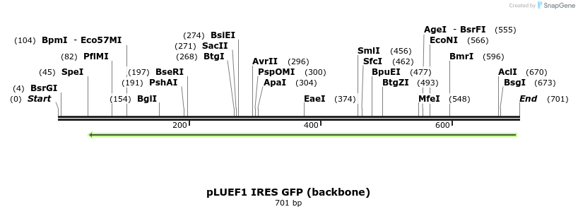 454697_map