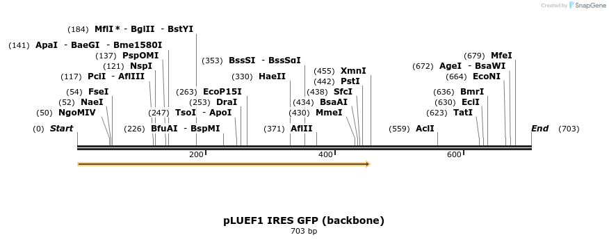 454698_map