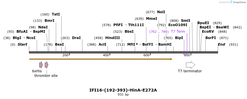 45471_map