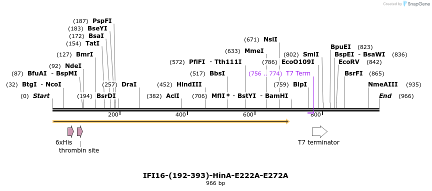 45474_map