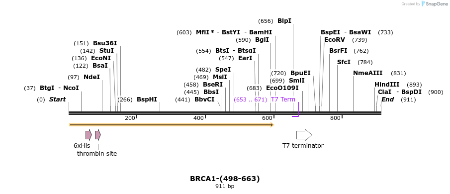 45475_map