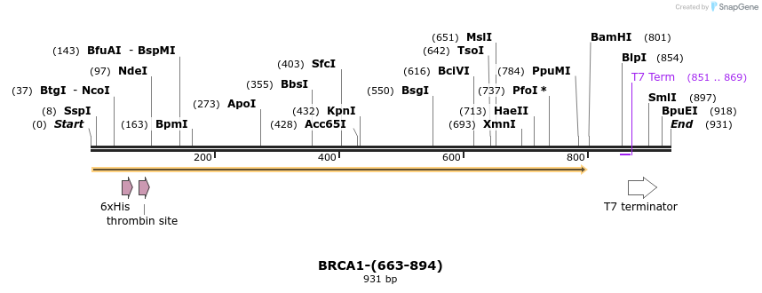 45476_map