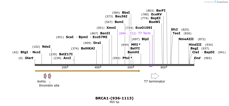 45479_map