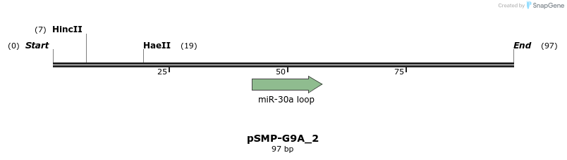 45481_map