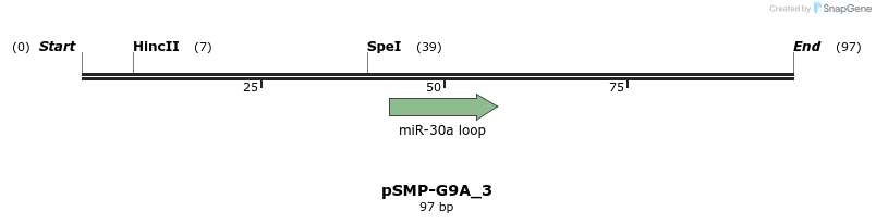 45482_map