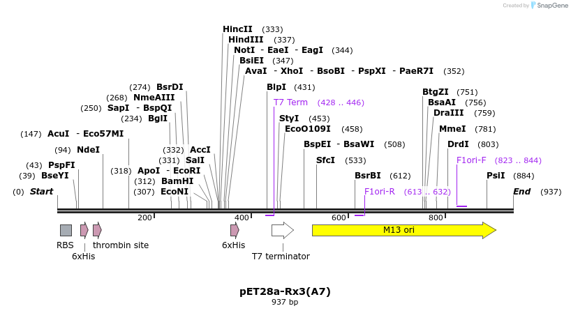 45489_map