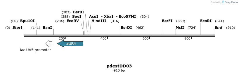 45490_map