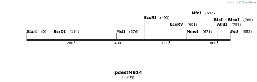 45491_map