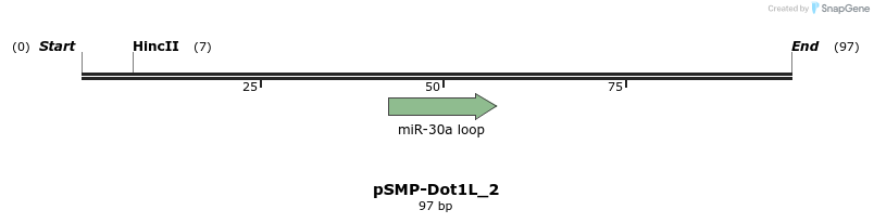 45497_map