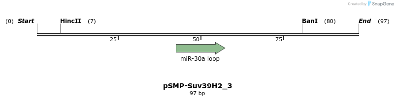 45503_map