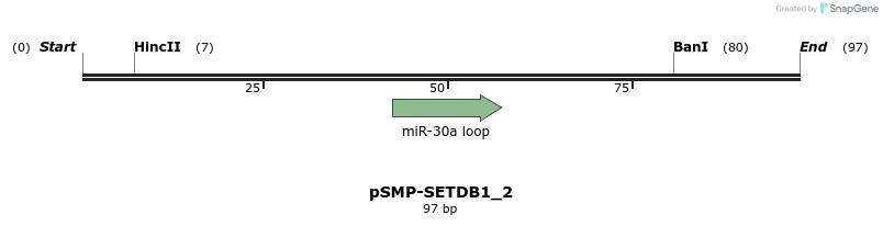 45505_map