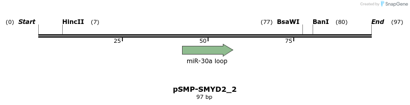 45507_map