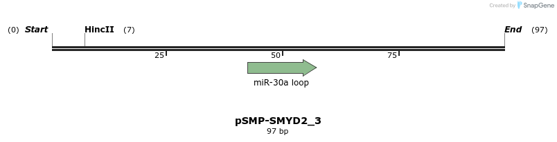 45508_map