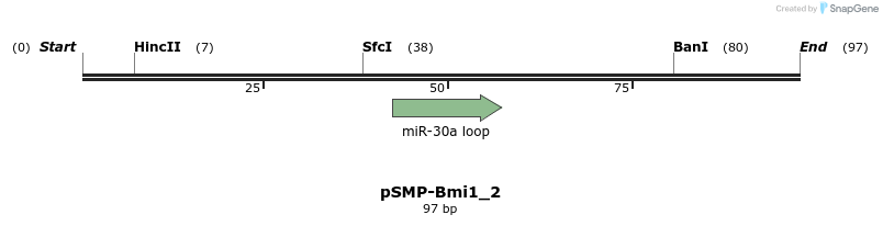 45510_map