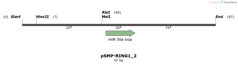 45513_map