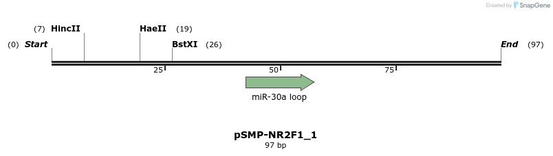 45519_map
