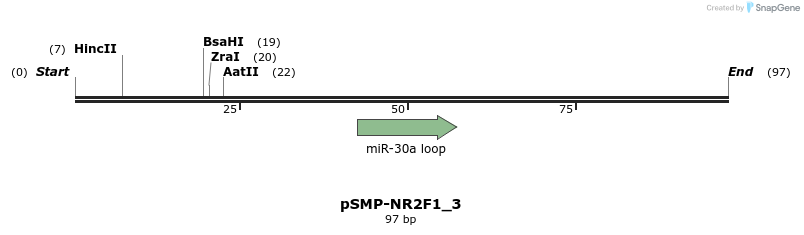 45521_map