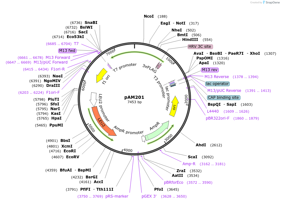 455221_map