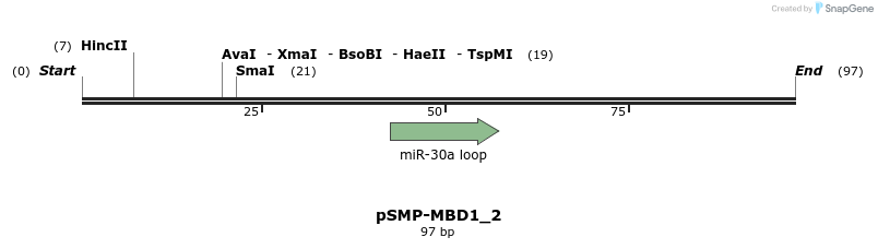 45523_map