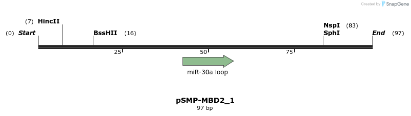 45525_map