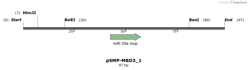 45528_map