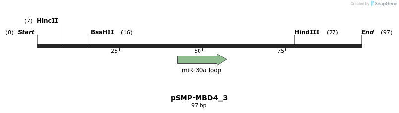 45533_map