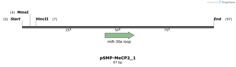 45534_map