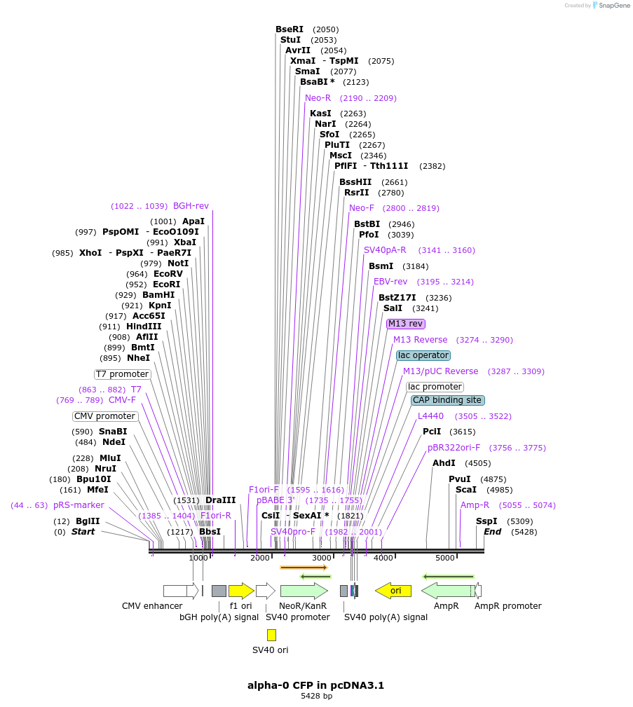 45538_map
