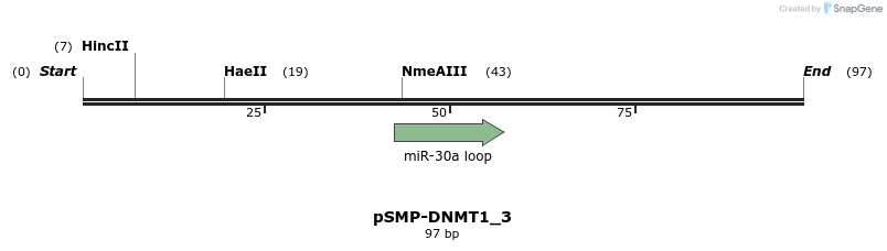 45542_map