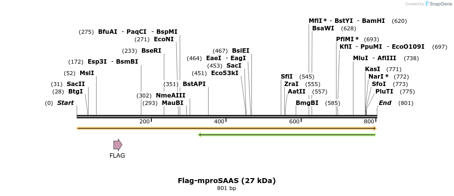 455431_map
