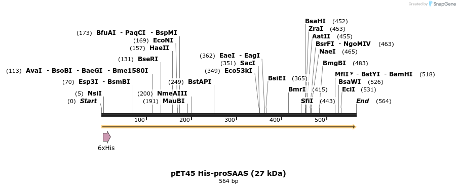 455432_map