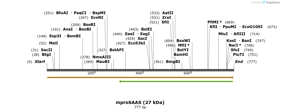 455433_map