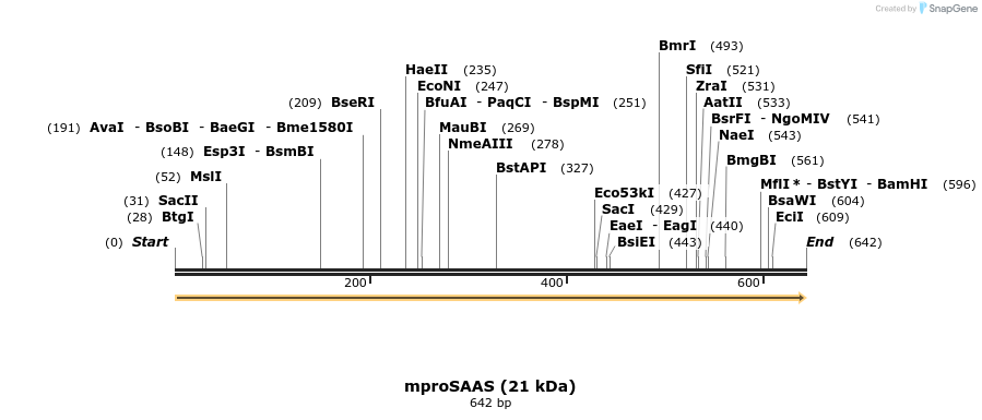 455434_map