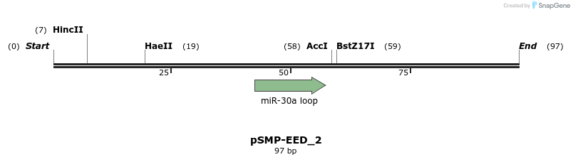 45544_map