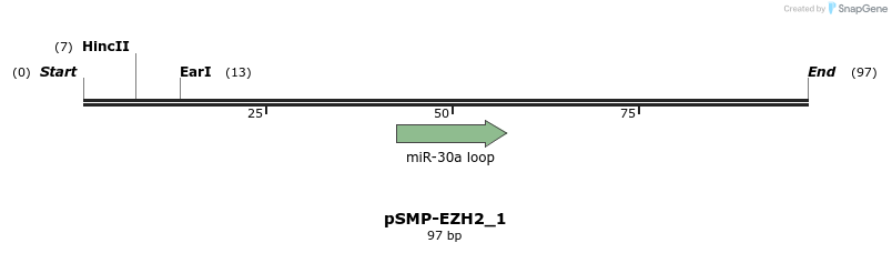 45545_map