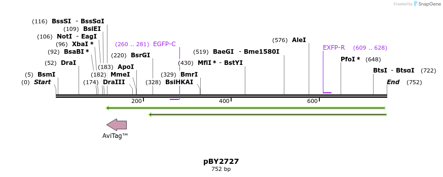 45559_map