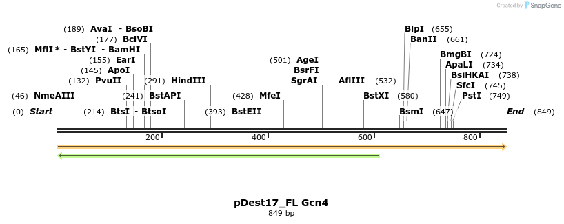 455686_map