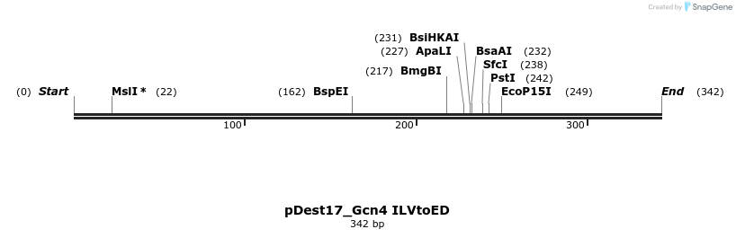 455688_map