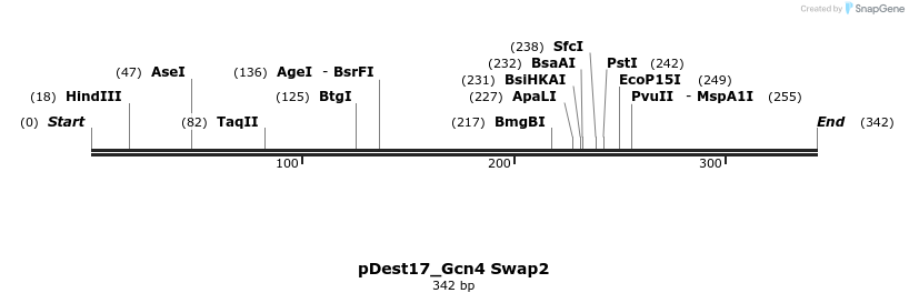 455696_map
