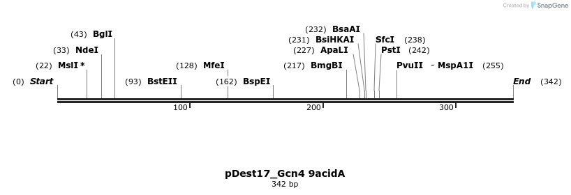 455698_map