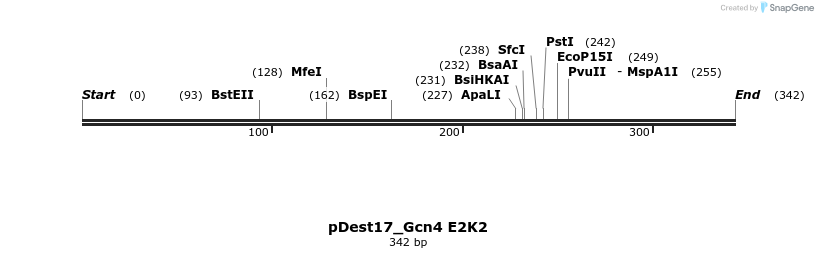 455699_map