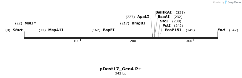 455703_map