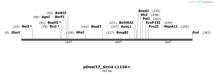 455704_map