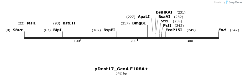 455706_map