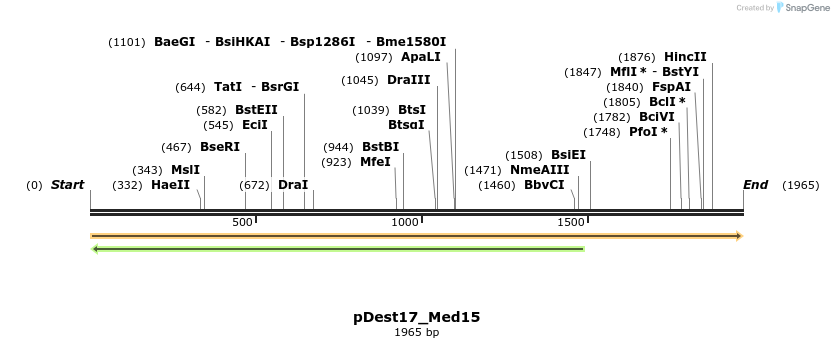 455718_map