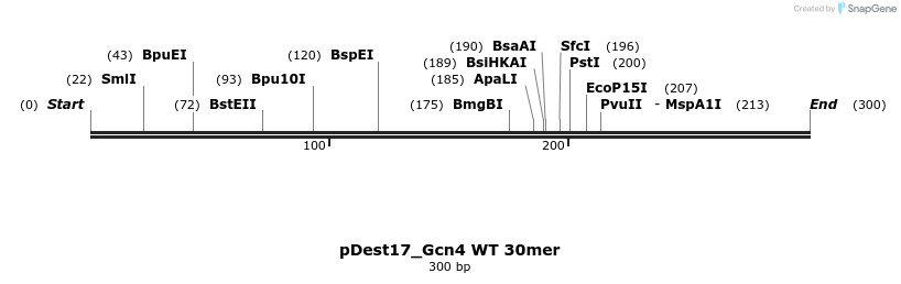 455719_map