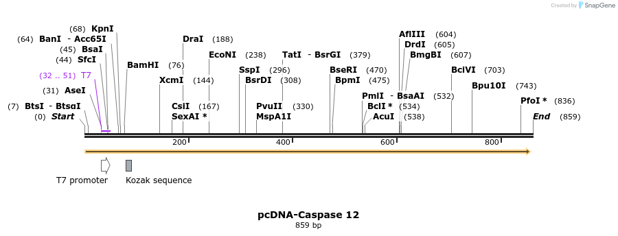 45579_map